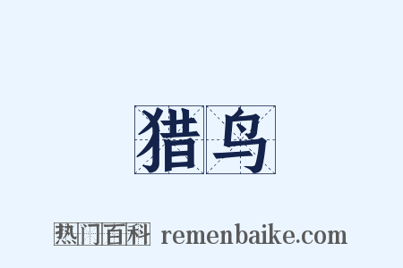 猎鸟是什么意思的图片